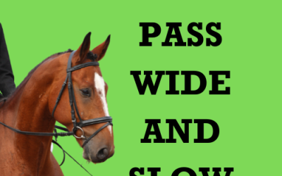 Pass Wide and Slow Awareness Ride