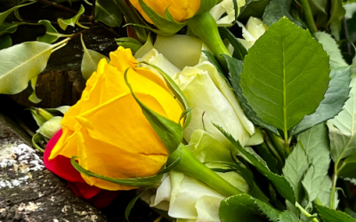 Books of condolence for HM The Queen are open