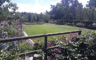 Charity open garden at Katherine’s Farm in Swinhay