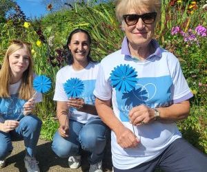 Longfield daisies bloom at Strouds Museum in the Park