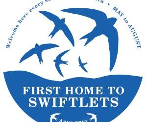 Wotton’s swift mapping…look up!