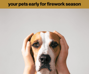 Remember, remember to prepare your pets early for firework season