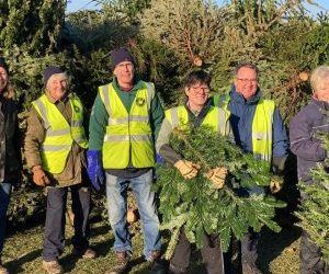Local hospice launches Christmas tree campaign, and needs your help!