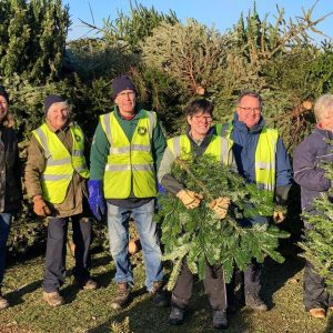 Local hospice launches Christmas tree campaign, and needs your help!