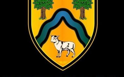 Wotton RFC – New Players Wanted!