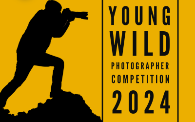 Wildlife Conservation Charity Hen Harrier Action launches Young Wild Photographer Competition