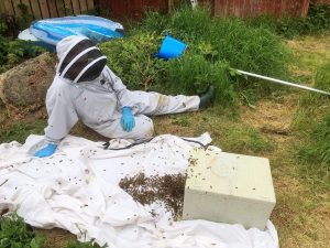 Beekeeper sitting on floor with bees