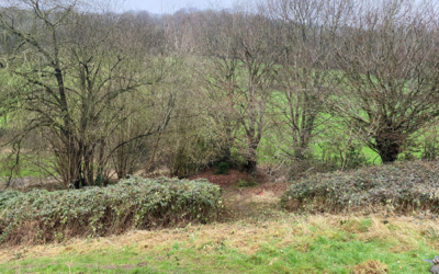 Streamsfield β a forgotten corner of Wotton