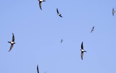A swift exit. (sadly)