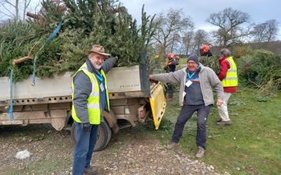 Recycle your Christmas tree with Longfield Community Hospice