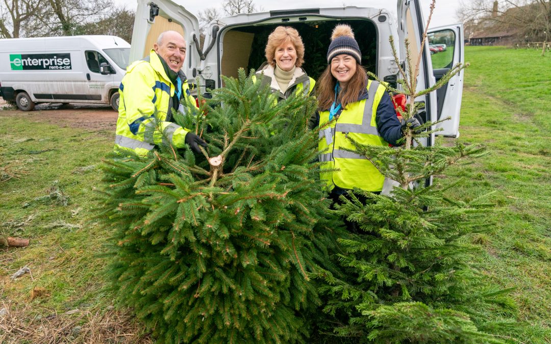 Christmas Tree Collection Raises Record Amount For Longfield