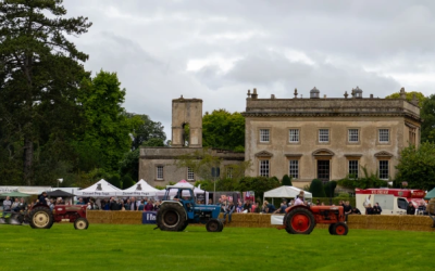 Discover the Magic of Frampton Country Fair