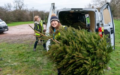 Recycle Your Christmas Tree and Help Longfield Hospice
