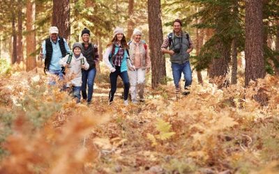 The Importance of Writing a Will
