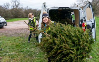 Volunteers with Vans Needed for Longfield Christmas Treecycle